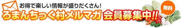 お得で楽しい情報が盛りだくさん！ろまんちっく村メルマガ会員募集中