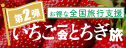 第２弾いちご一会栃木旅のお知らせ