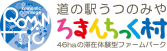 道の駅　ろまんちっく村